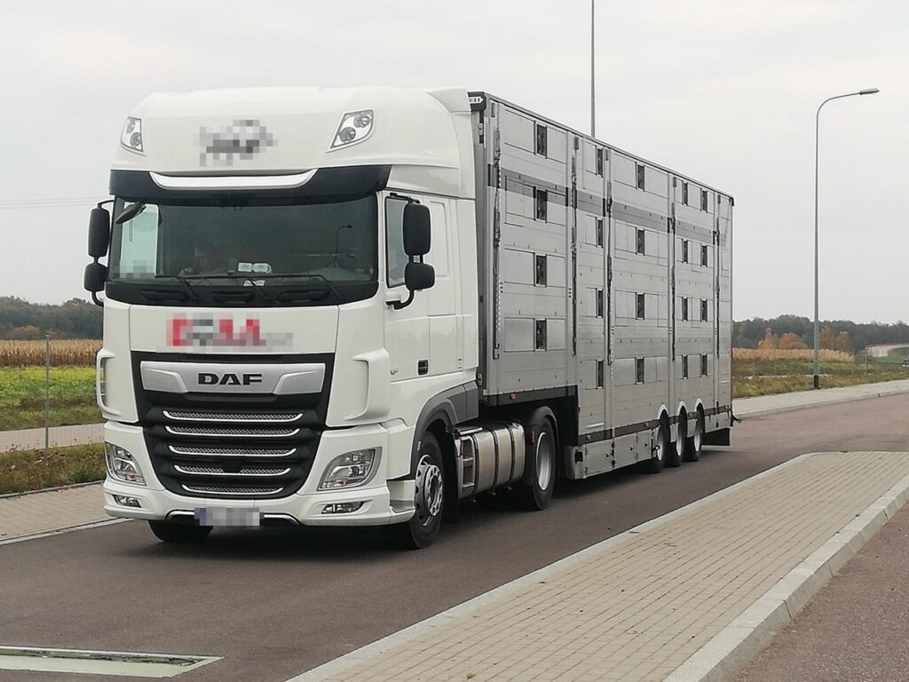 Transport zwierząt żywych